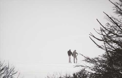 ArtChart | Snow and nature composition, 2012 by Abbas Gharib