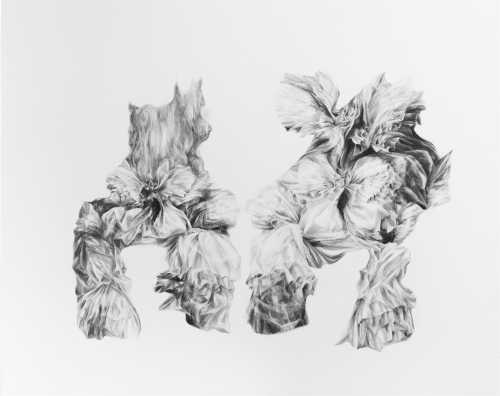 ArtChart | Untitled by Tara Azarm