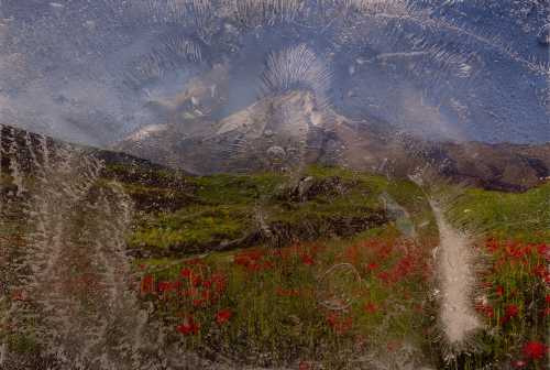 ArtChart | Untitled by Armin Amirian