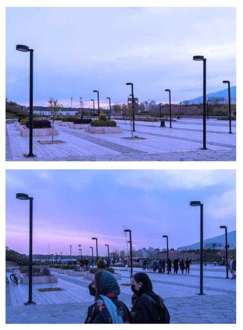 ArtChart | Bamland by Fatemeh Khajehnoori