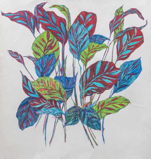 آرتچارت | بدون عنوان از آرزو رمضان‌جماعت