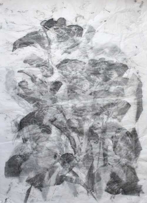 آرتچارت | بدون عنوان از سیما باقرزاده