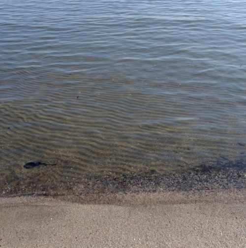 ArtChart | Untitled by Kavian Esmaeili