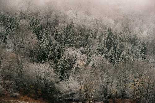 ArtChart | Untitled by Shahin Esfandiari