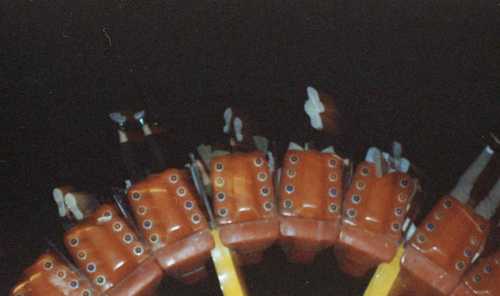 آرتچارت | بدون عنوان از شیما راستین