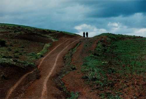 ArtChart | Untitled by Abbas Kiarostami