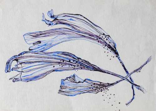 آرتچارت | بدون عنوان از آرزو رمضان‌جماعت