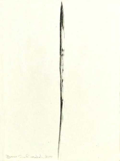 ArtChart | Untitled From “The Negative Posi-tive space” series by Peyman Shafieezadeh