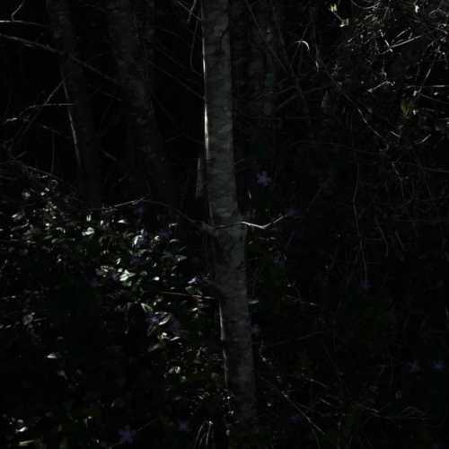 ArtChart | Untitled by Kimia Askarian