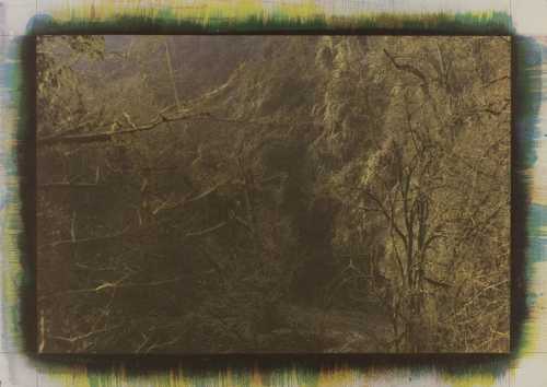 آرتچارت | بدون عنوان از مهرعلی رزاق‌منش