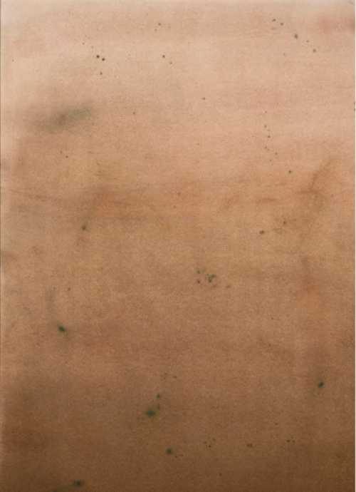 ArtChart | Immesion(Trunk of a Tree) by Leila Mirzakhani