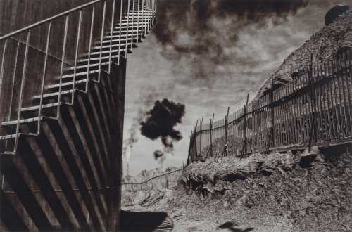 ArtChart | A Report For d'Arcy by Babak Kazemi