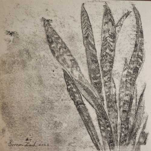 آرتچارت | بدون عنوان از سیما باقرزاده