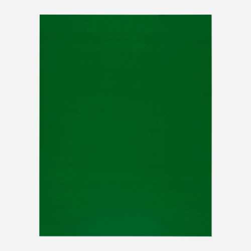 آرتچارت | مونوکروم-06-2008 (از مجموعه گل‌ها، میوه‌ها و پرتره‌ها) از شیرانا شهبازی‎