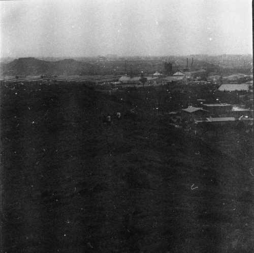 ArtChart | Untitled from the Urbun Toys series by Shima Rastin