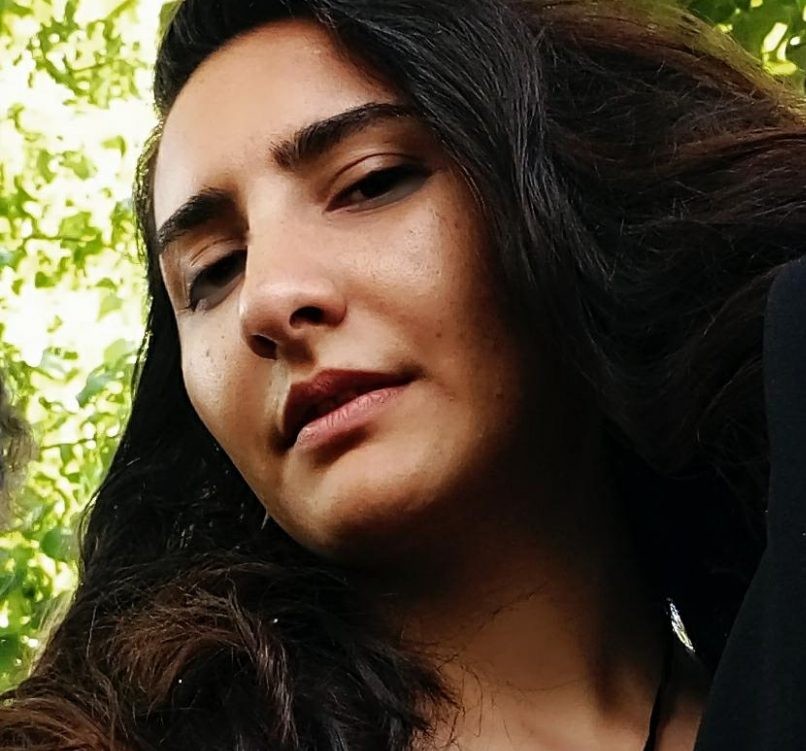 آرتچارت | آثار هنری هنرمند شقایق کامیار