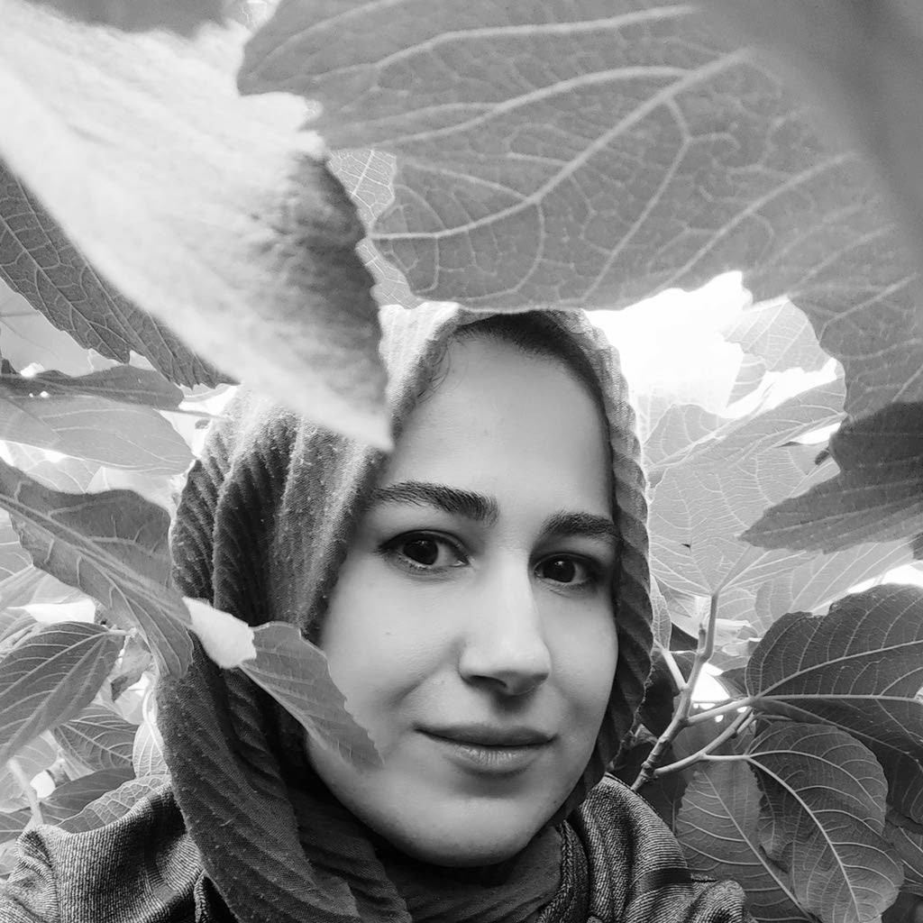 ArtChart | Artworks by Artist Bahare Noorizade