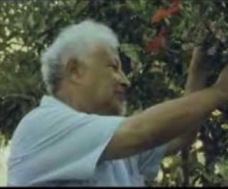 آرتچارت | آثار هنری هنرمند حاتم المکی