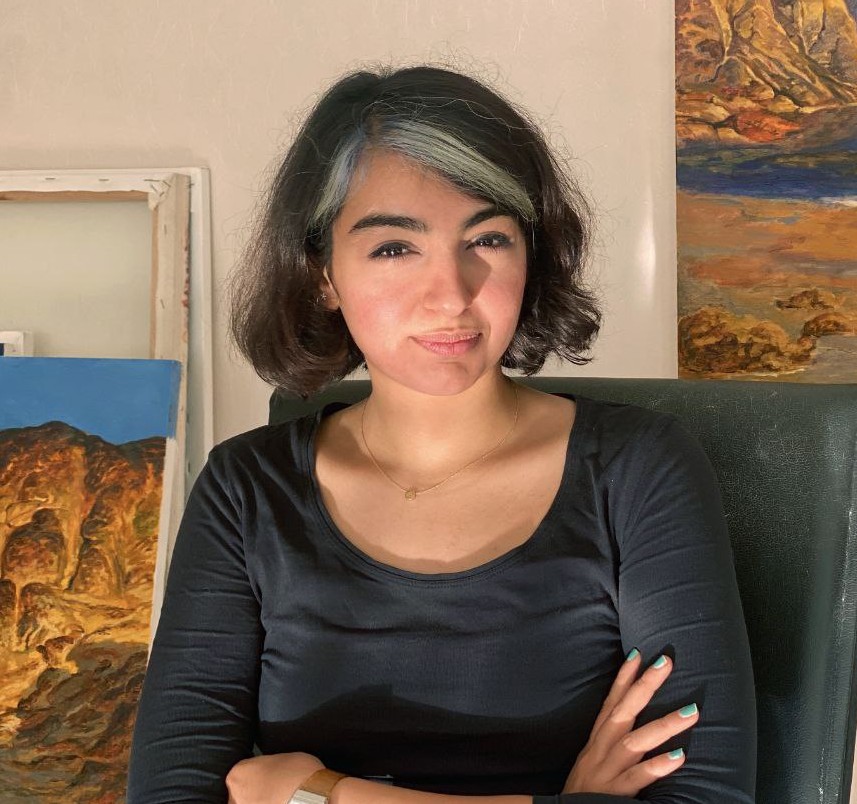 آرتچارت | آثار هنری هنرمند آیدا روزبیانی