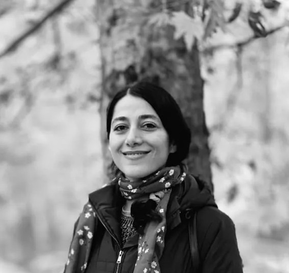 آرتچارت | آثار هنری هنرمند مه سیما شکریان