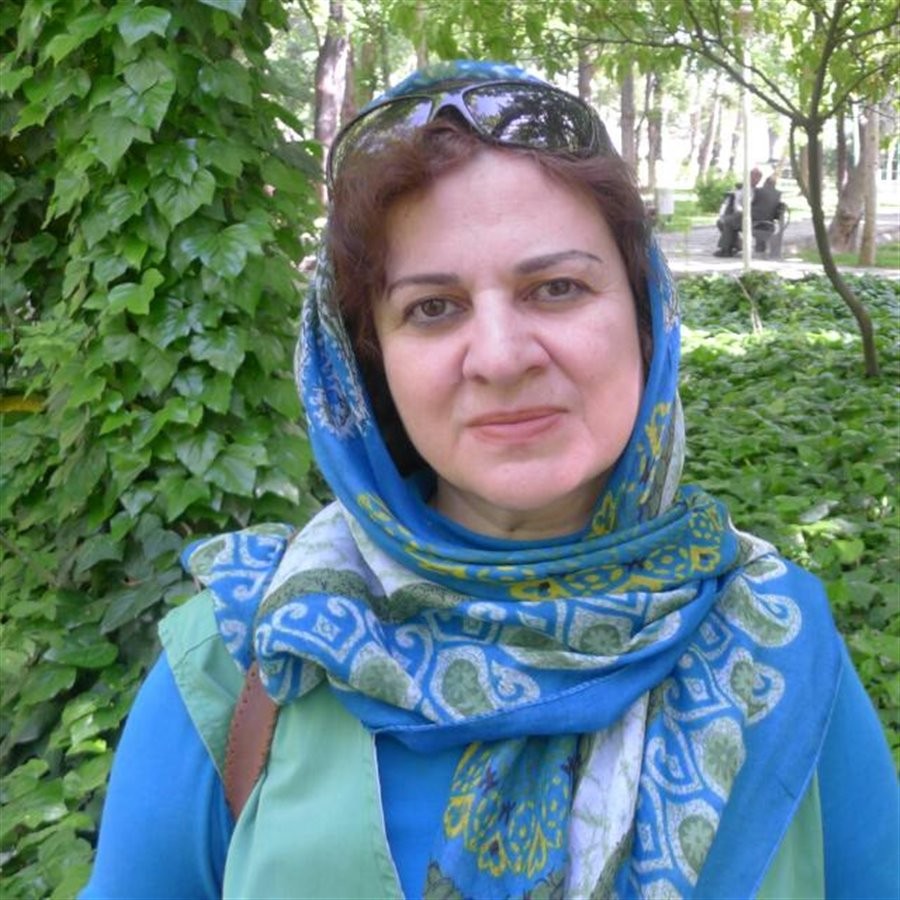 آرتچارت | آثار هنری هنرمند نوشین نفیسی