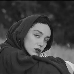 آرتچارت | آثار هنری هنرمند آنالی طاهریان