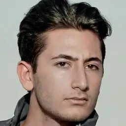 آرتچارت | آثار هنری هنرمند پیام داوود آبادی