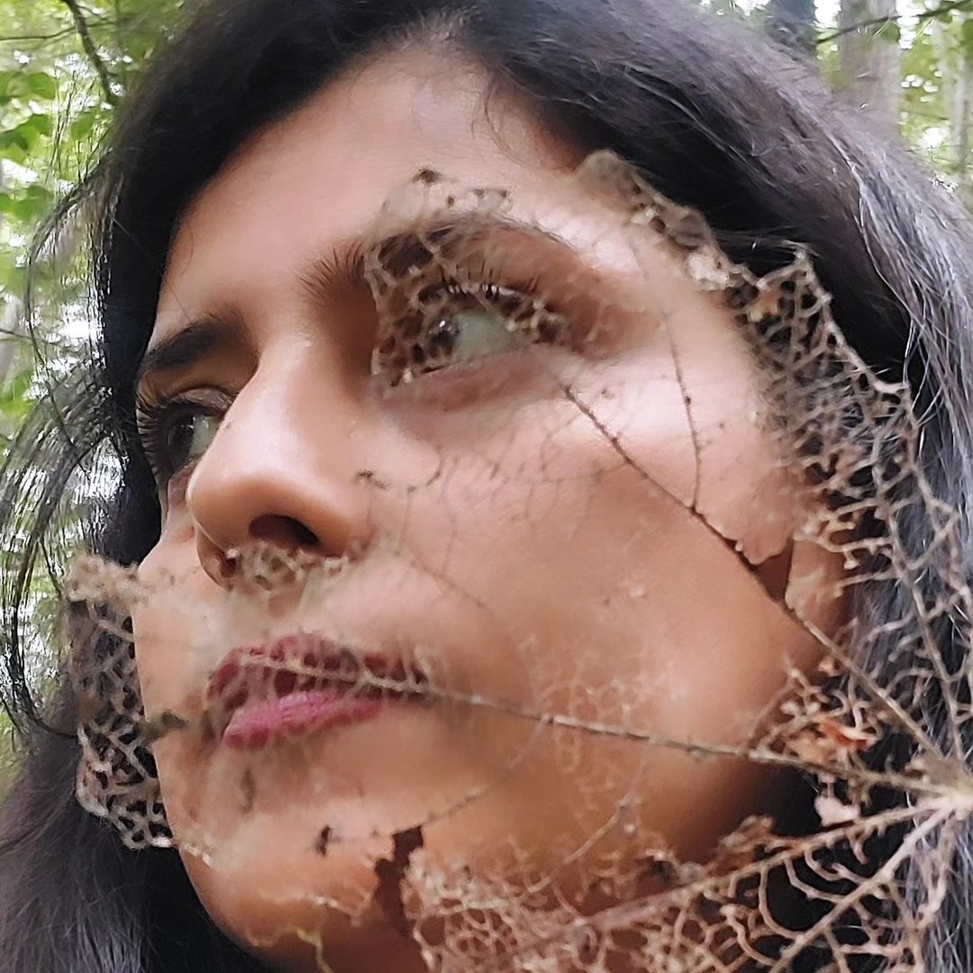 ArtChart | Artworks by Artist Zohreh Samandook